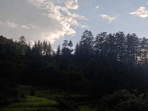 CHP Himalayan Paradise 03